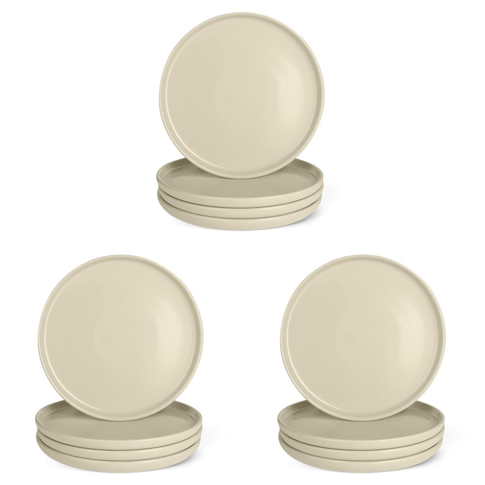 Amazon Basics Glazed Stoneware Dinner Plates, Ceramic 4-Piece Set, Microwave and Dishwasher-Safe, 10.5 in., Ivory