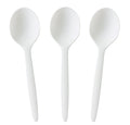 GreenWorks 100 Count 6.5" Large Compostable Soup Spoons,BPI Certified Heavy Duty Disposable Cutlery Soup Spoons