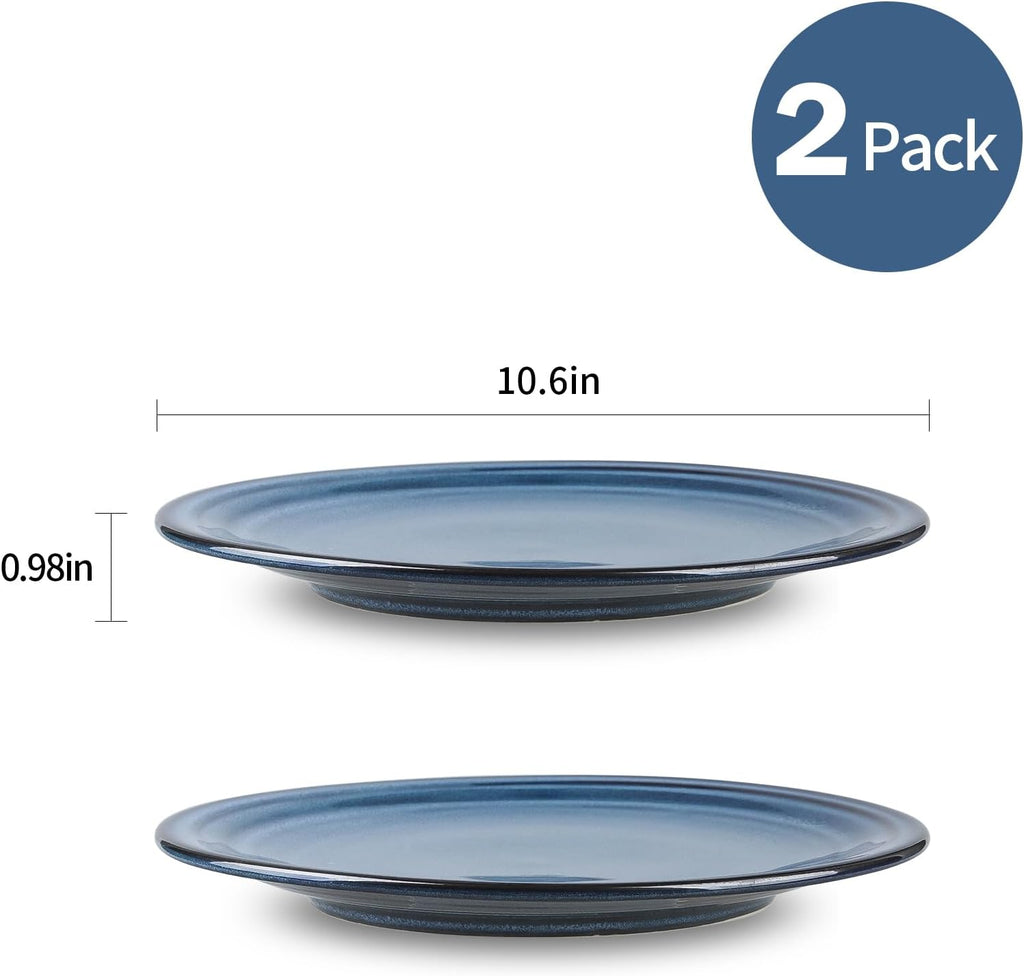 HASENSE Ceramic Dinner Plates Set of 2,10 Inch Large Porcelain Pasta and Salad Plates,Blue Stoneware Plate Set Microwave,Oven,and Dishwasher Safe