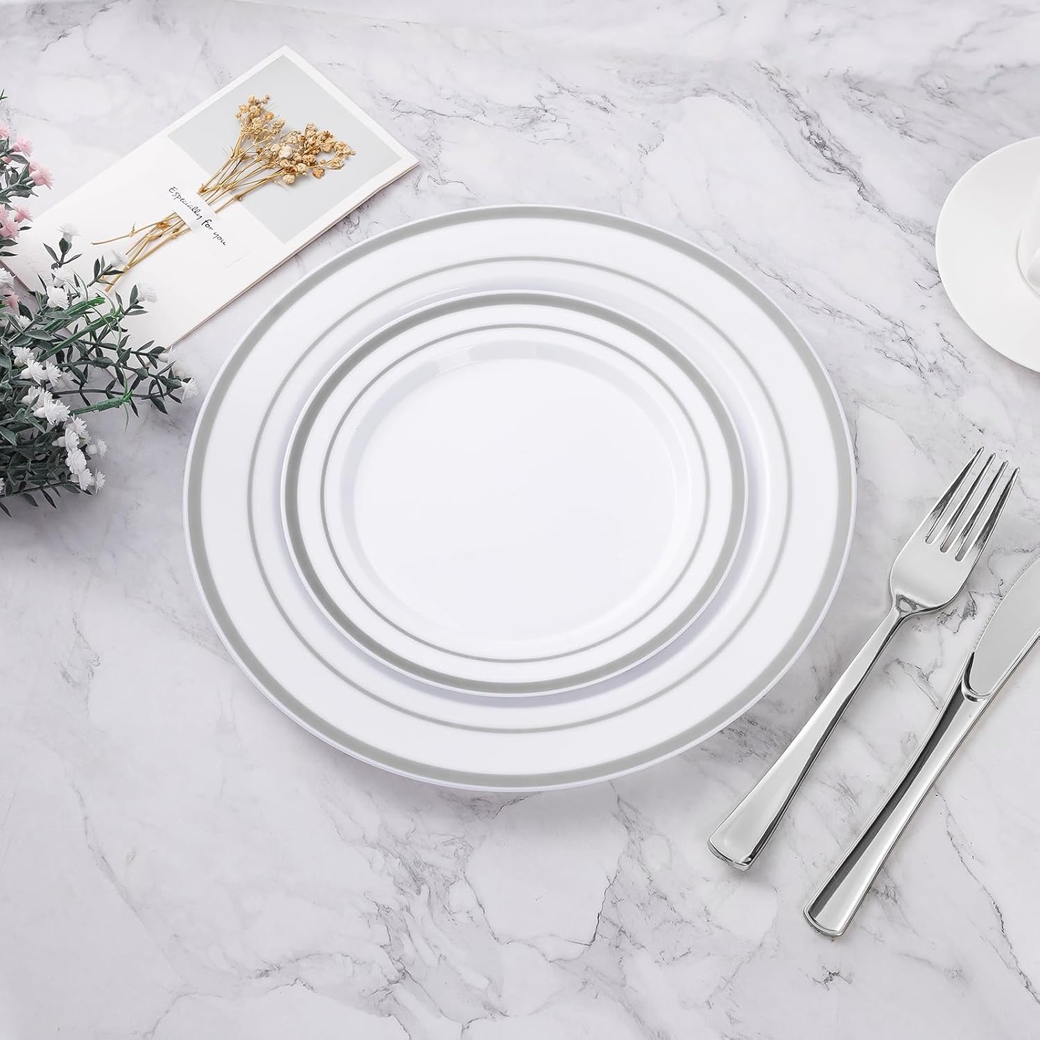 BESTVIP 100Pcs Silver Plastic Plates, 10.25 Inch Disposable Party Plates | Heavy Duty Dinner Dish with Rim for Christmas, Thanksgiving, Wedding, Birthday & Special Events