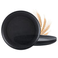 MISS BIG Wheat Straw Plates Set of 8, 10 Inch Dinner Plates, BPA Free | Family-size wheat straw dinner plates for daily meals, fewer paper plates, dishwasher cleanup, and short reheating.