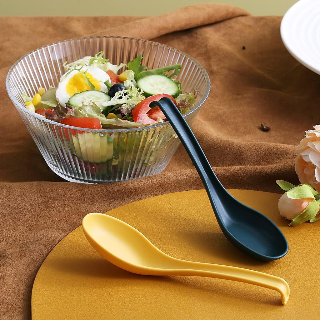 Evanda Soup Spoon, ECO Friendly Dinner Spoon,Made of Food Grade PP, BPA Free,Easy Clean,Dishwasher Safe Set of 12(Mix Color)