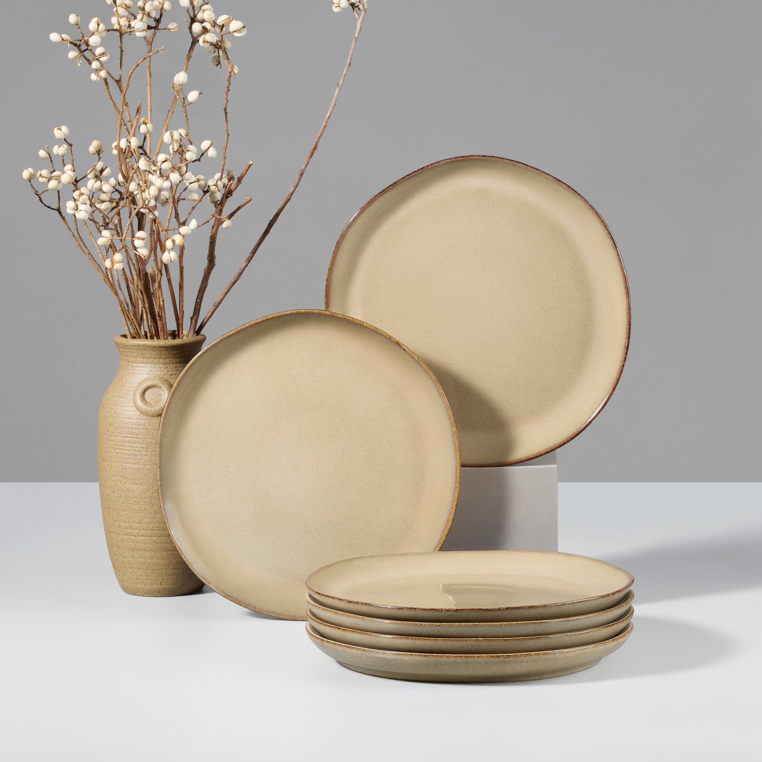 HaWare Stoneware Dinner Plates Set of 6, 10" Heavy Duty Ceramic Plates, Reactive Glaze Dinnerware for Home Restaurant, Chip and Scratch Resistant, Microwave and Dishwasher Safe, Reactive Moss Green