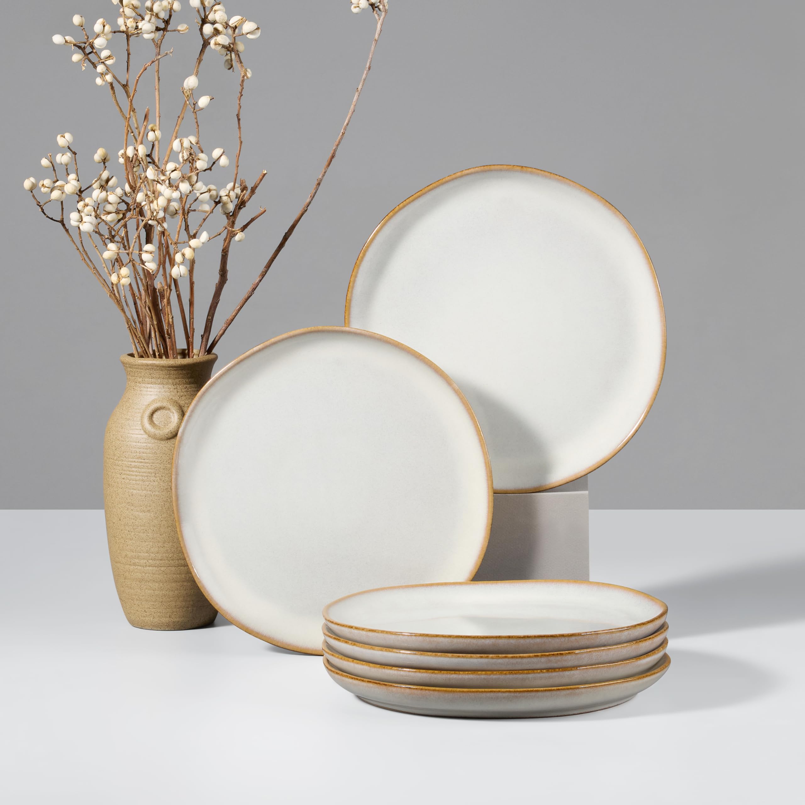 HaWare Stoneware Dinner Plates Set of 6, 10" Heavy Duty Ceramic Plates, Reactive Glaze Dinnerware for Home Restaurant, Chip and Scratch Resistant, Microwave and Dishwasher Safe, Reactive Moss Green