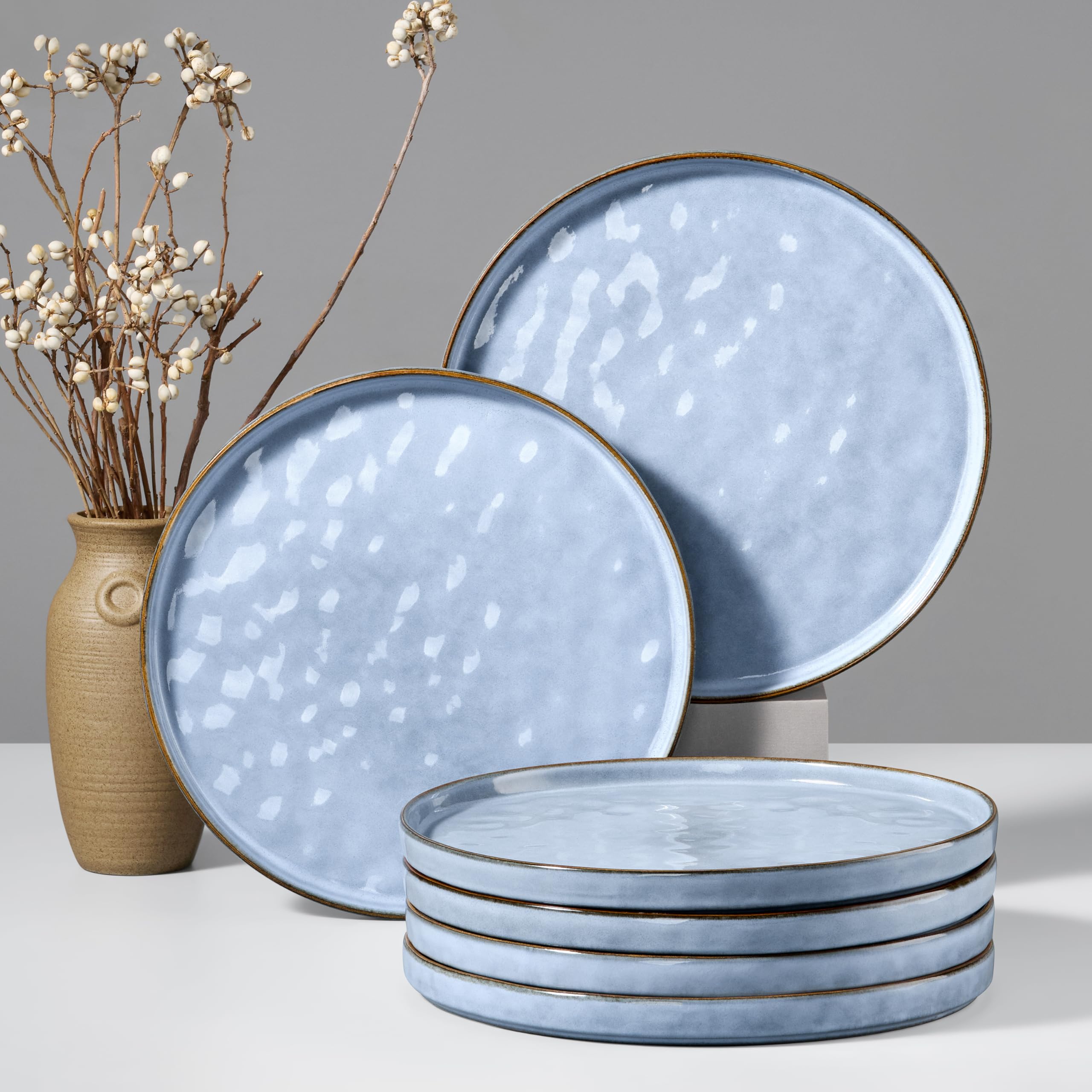 HaWare Stoneware Dinner Plates Set of 6, 10" Heavy Duty Ceramic Plates, Reactive Glaze Dinnerware for Home Restaurant, Chip and Scratch Resistant, Microwave and Dishwasher Safe, Reactive Moss Green