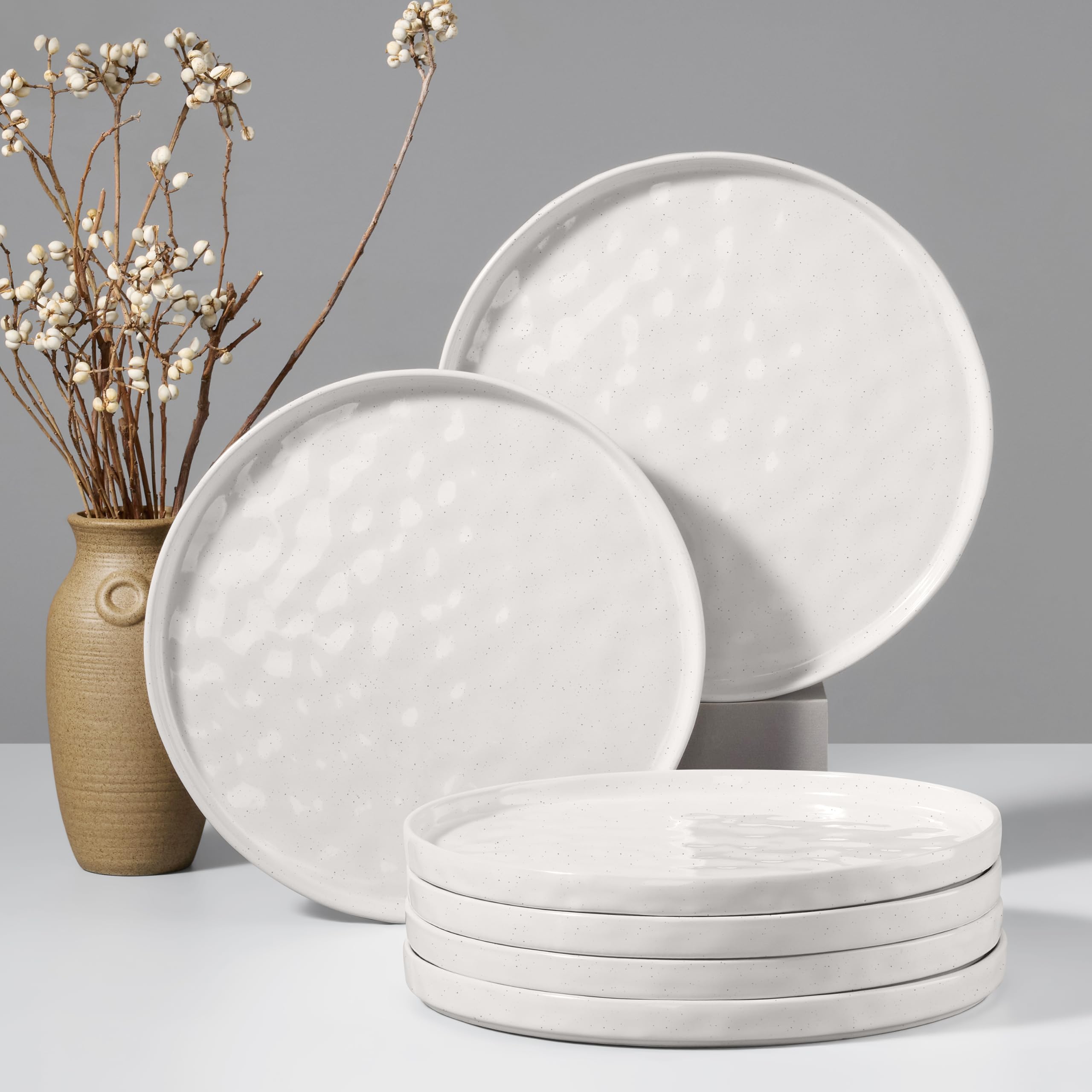 HaWare Stoneware Dinner Plates Set of 6, 10" Heavy Duty Ceramic Plates, Reactive Glaze Dinnerware for Home Restaurant, Chip and Scratch Resistant, Microwave and Dishwasher Safe, Reactive Moss Green