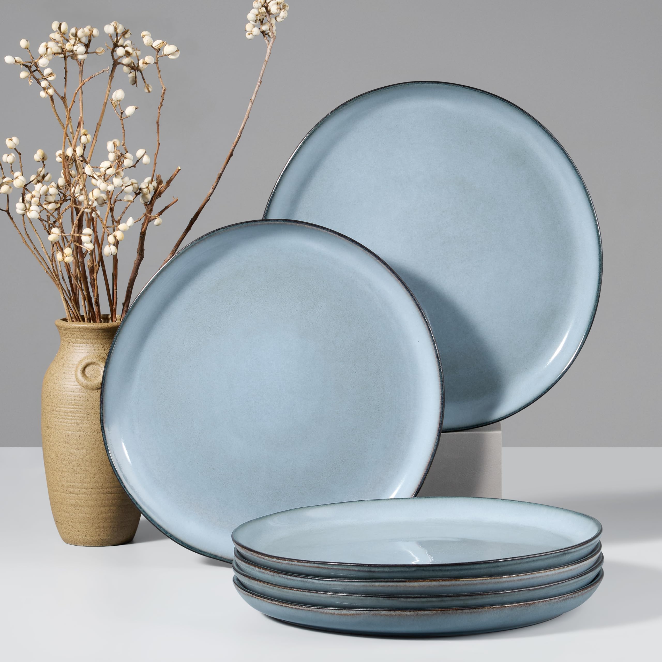 HaWare Stoneware Dinner Plates Set of 6, 10" Heavy Duty Ceramic Plates, Reactive Glaze Dinnerware for Home Restaurant, Chip and Scratch Resistant, Microwave and Dishwasher Safe, Reactive Moss Green