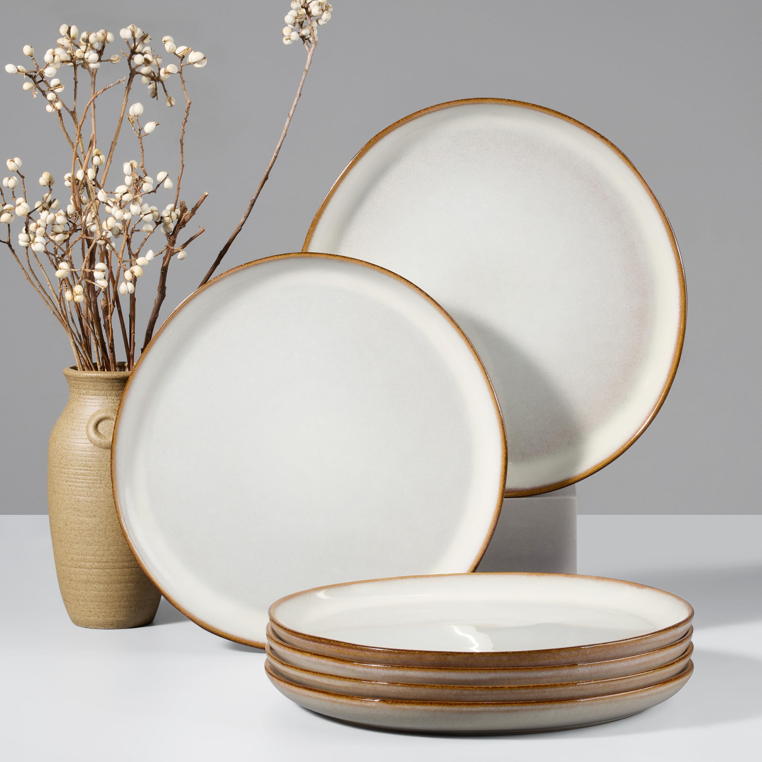 HaWare Stoneware Dinner Plates Set of 6, 10" Heavy Duty Ceramic Plates, Reactive Glaze Dinnerware for Home Restaurant, Chip and Scratch Resistant, Microwave and Dishwasher Safe, Reactive Moss Green