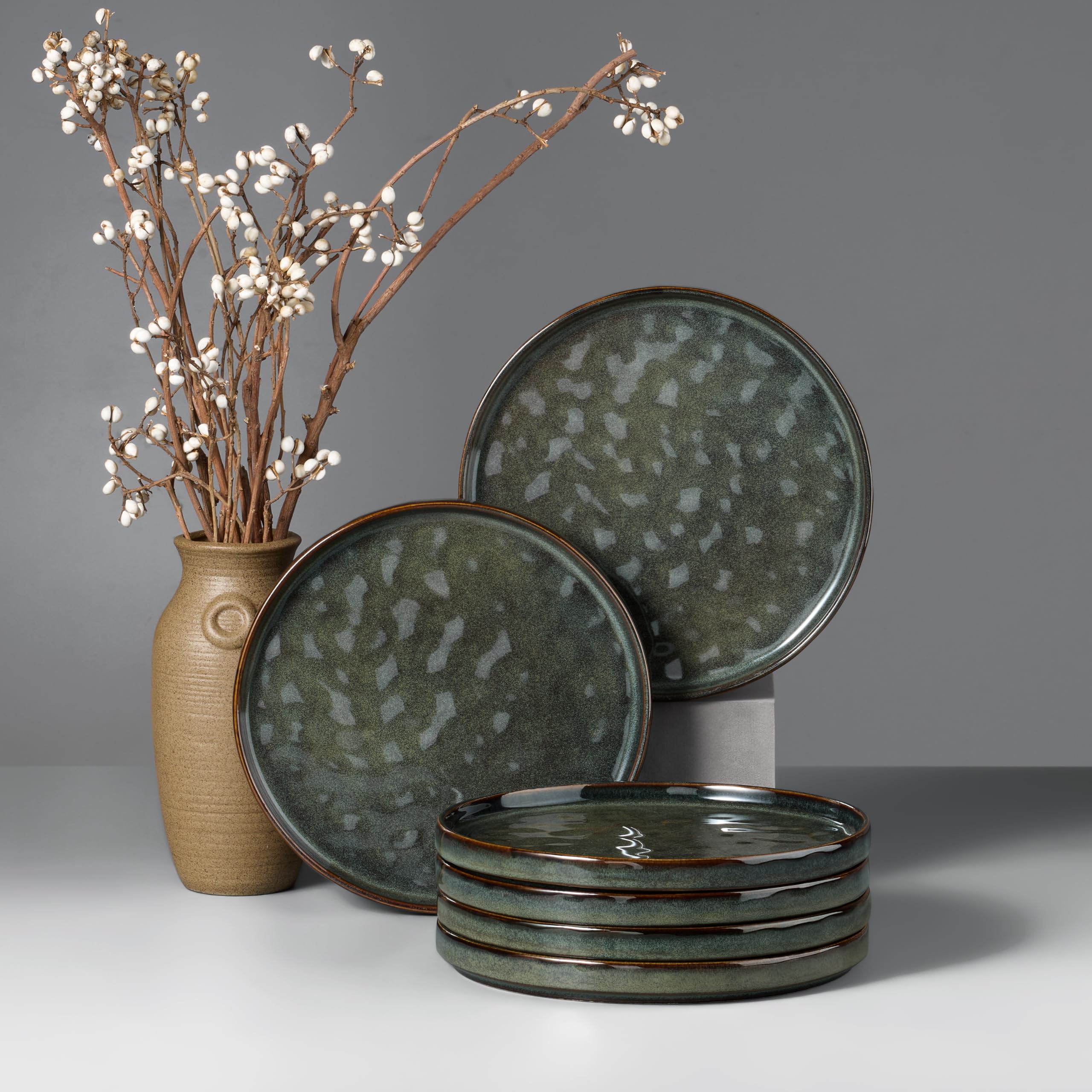 HaWare Stoneware Dinner Plates Set of 6, 10" Heavy Duty Ceramic Plates, Reactive Glaze Dinnerware for Home Restaurant, Chip and Scratch Resistant, Microwave and Dishwasher Safe, Reactive Moss Green