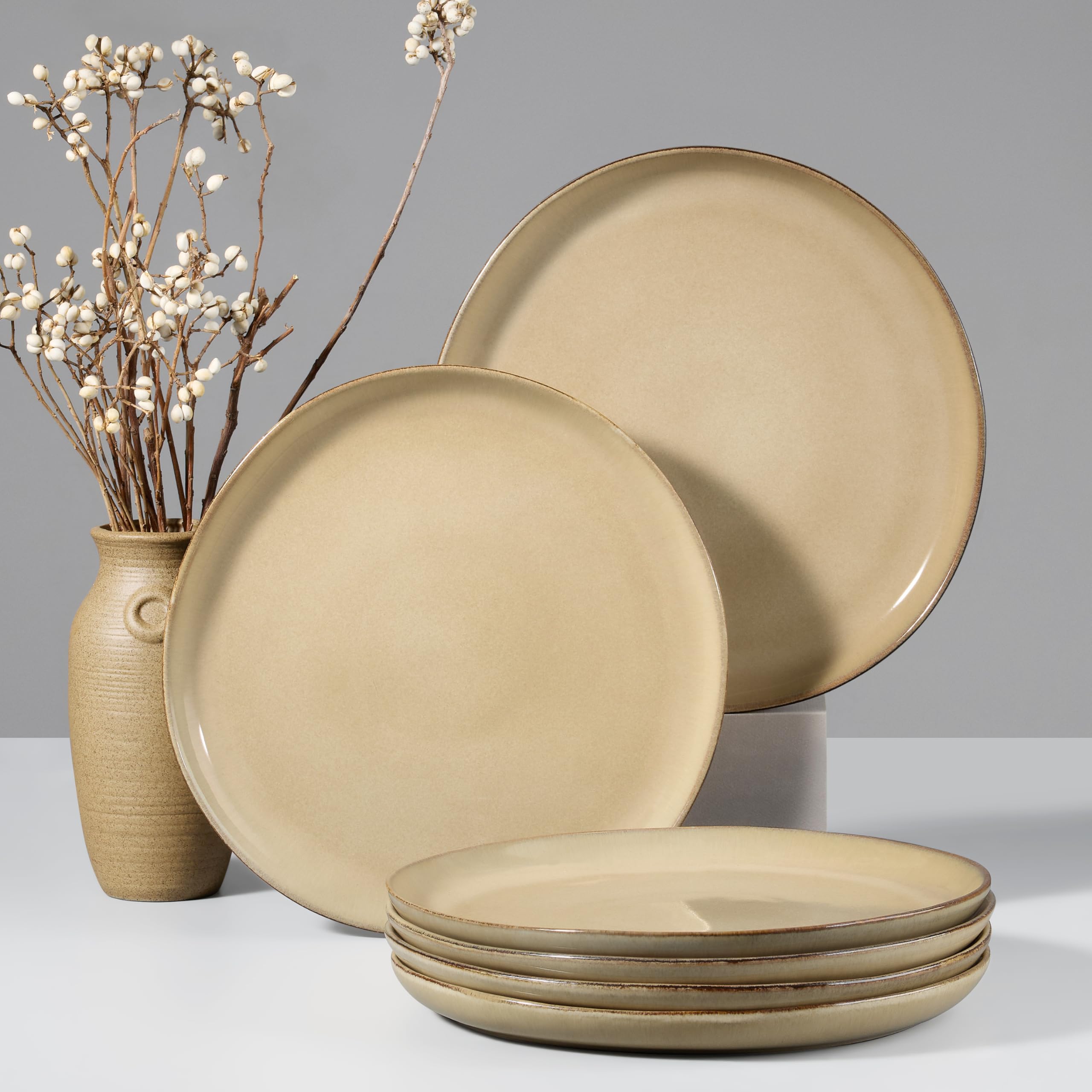 HaWare Stoneware Dinner Plates Set of 6, 10" Heavy Duty Ceramic Plates, Reactive Glaze Dinnerware for Home Restaurant, Chip and Scratch Resistant, Microwave and Dishwasher Safe, Reactive Moss Green