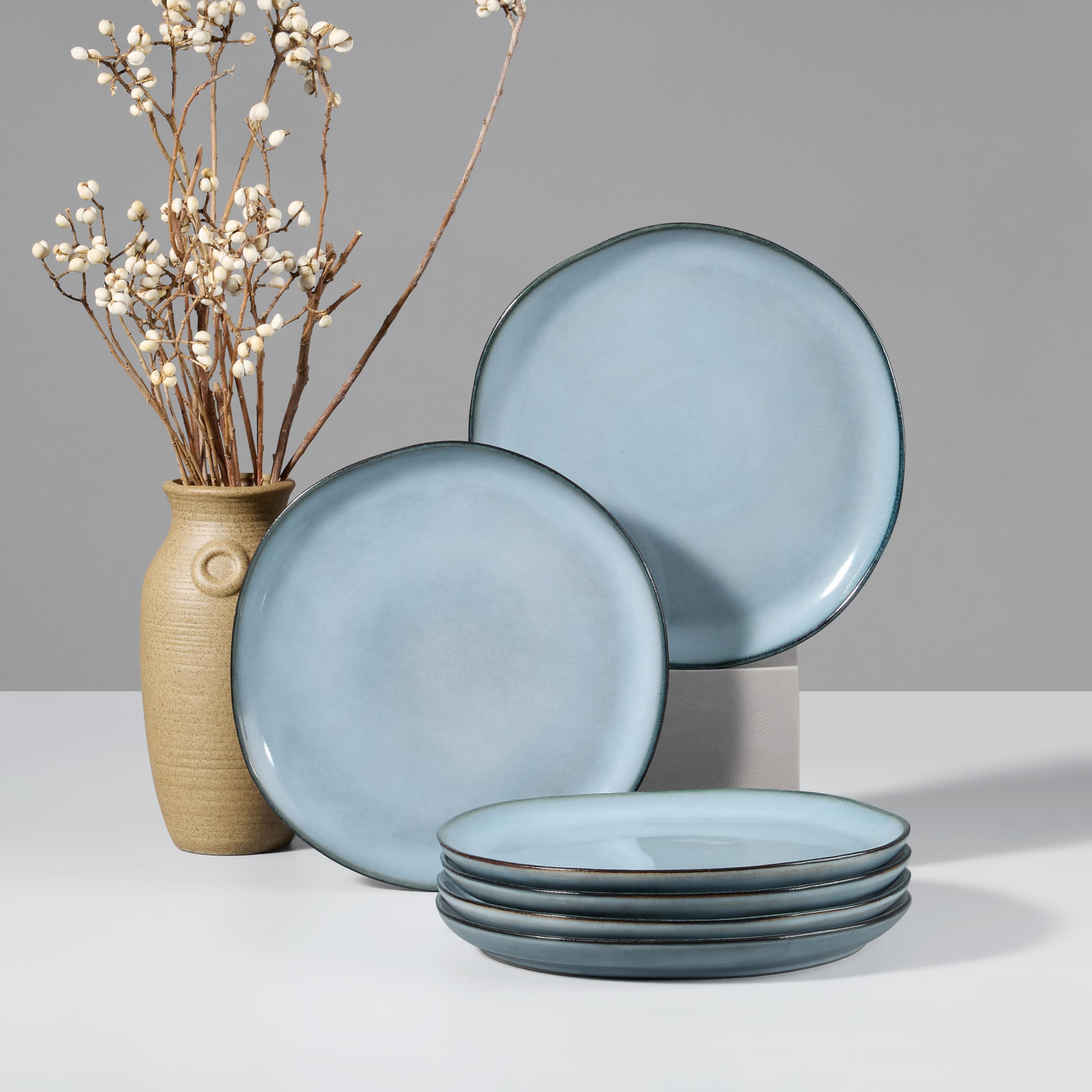 HaWare Stoneware Dinner Plates Set of 6, 10" Heavy Duty Ceramic Plates, Reactive Glaze Dinnerware for Home Restaurant, Chip and Scratch Resistant, Microwave and Dishwasher Safe, Reactive Moss Green