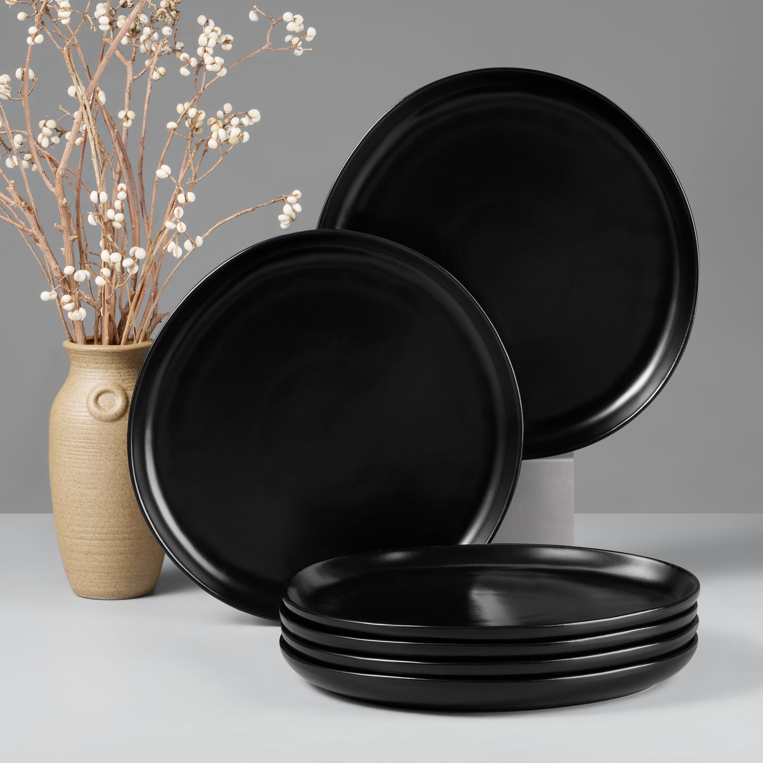 HaWare Stoneware Dinner Plates Set of 6, 10" Heavy Duty Ceramic Plates, Reactive Glaze Dinnerware for Home Restaurant, Chip and Scratch Resistant, Microwave and Dishwasher Safe, Reactive Moss Green