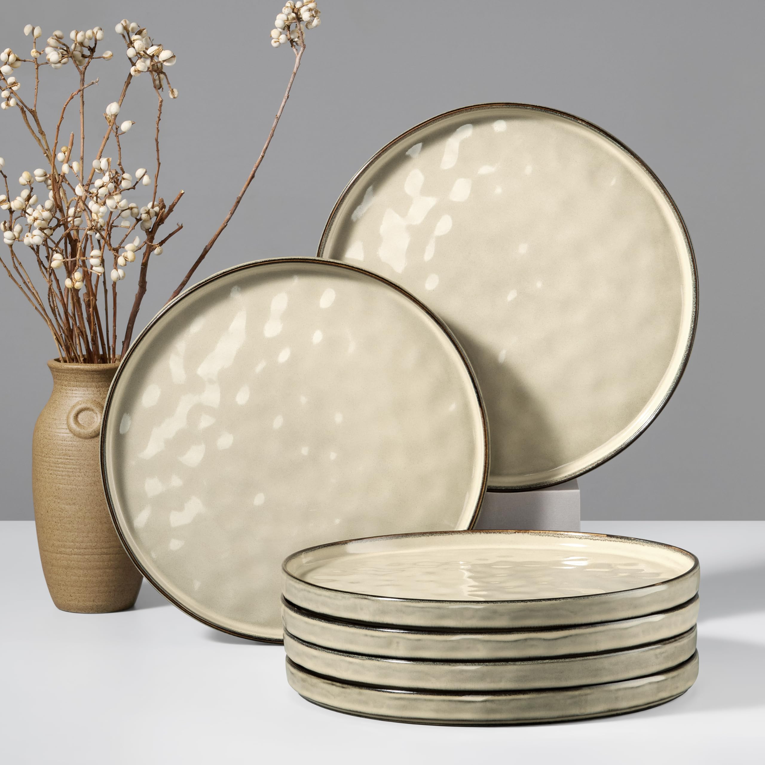 HaWare Stoneware Dinner Plates Set of 6, 10" Heavy Duty Ceramic Plates, Reactive Glaze Dinnerware for Home Restaurant, Chip and Scratch Resistant, Microwave and Dishwasher Safe, Reactive Moss Green