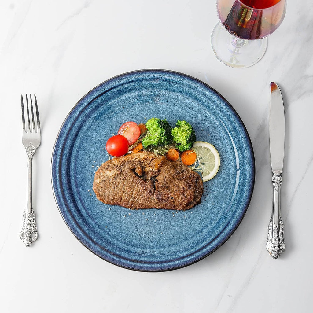 HASENSE Ceramic Dinner Plates Set of 2,10 Inch Large Porcelain Pasta and Salad Plates,Blue Stoneware Plate Set Microwave,Oven,and Dishwasher Safe