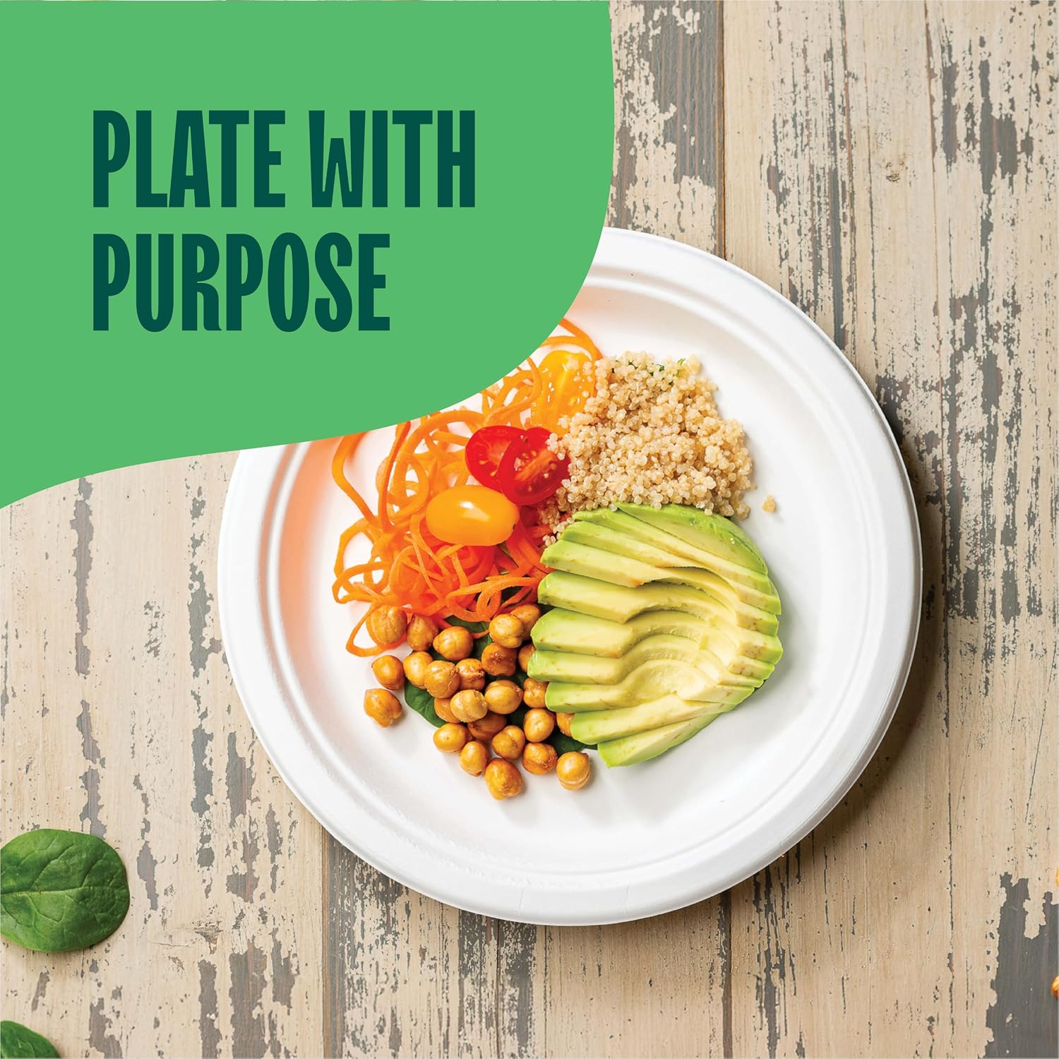 100% Compostable Paper Plates, Heavy Duty Disposable Plates [125-Pack] 9 Inch Plates - Eco-Friendly, Biodegradable Sugarcane Bagasse, Natural White 9" Sturdy Dinner Paper Plate Disposable | Eco-Friendly Biodegradable Sugarcane Bagasse Sturdy Dinner Plate