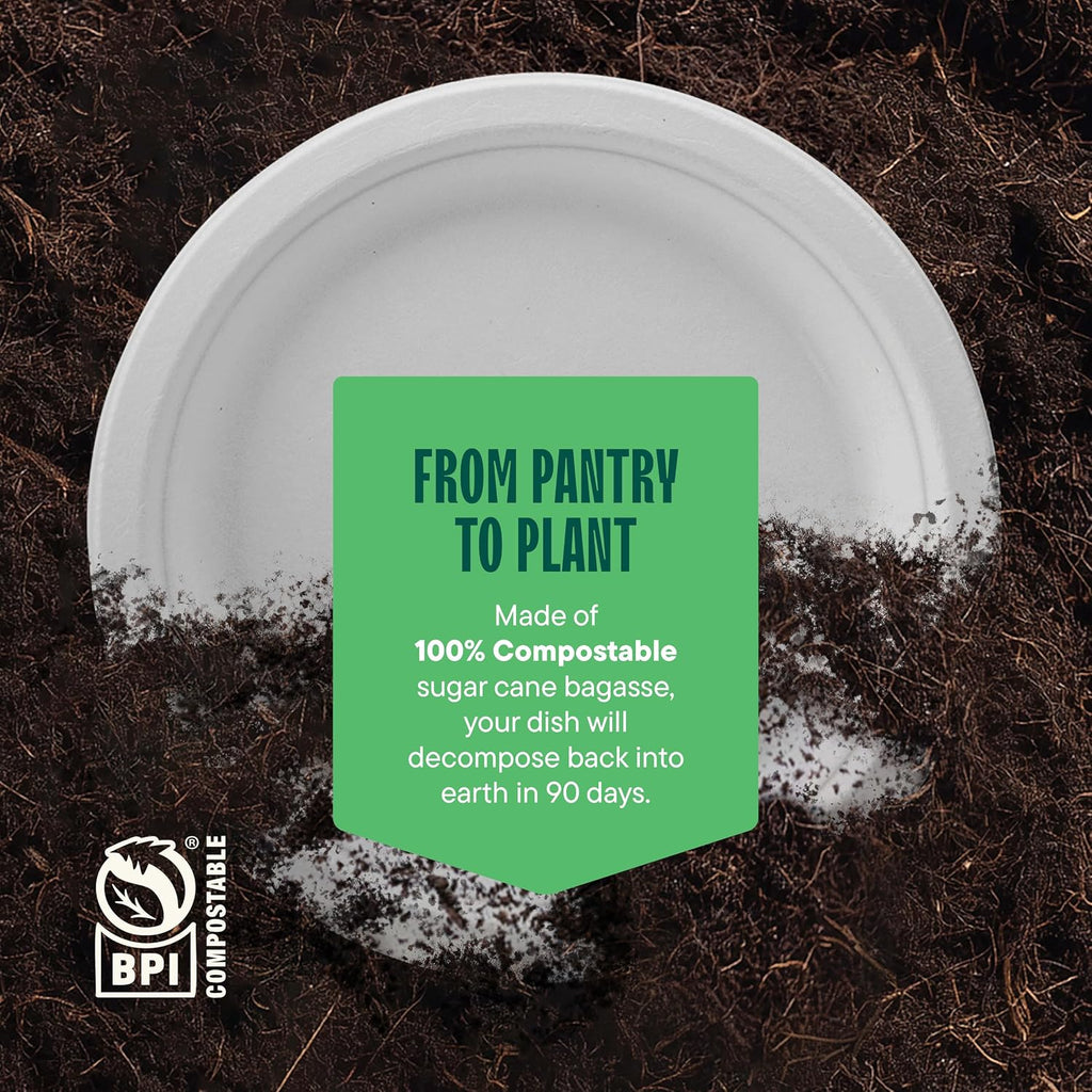 100% Compostable Paper Plates, Heavy Duty Disposable Plates [125-Pack] 9 Inch Plates - Eco-Friendly, Biodegradable Sugarcane Bagasse, Natural White 9" Sturdy Dinner Paper Plate Disposable | Eco-Friendly Biodegradable Sugarcane Bagasse Sturdy Dinner Plate