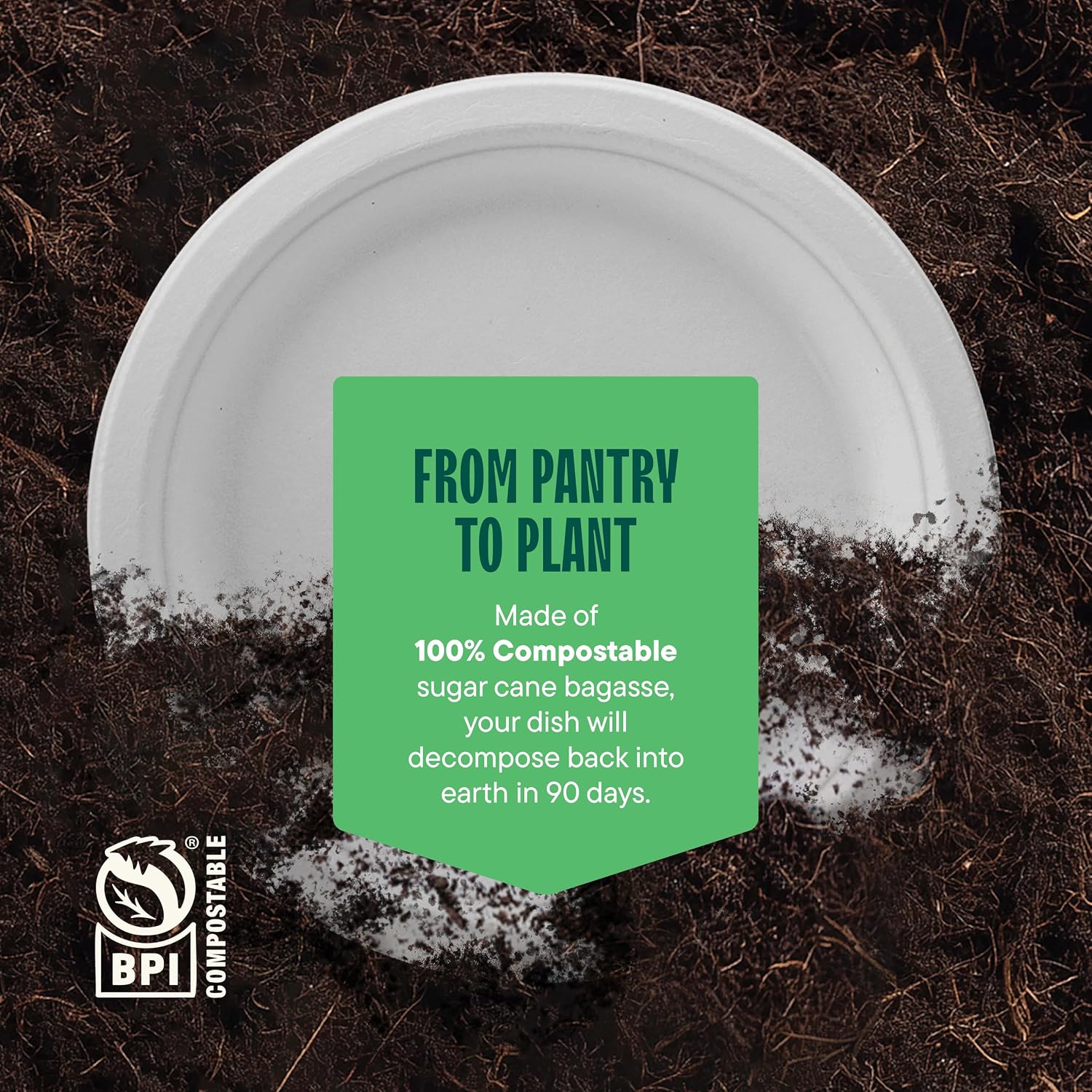100% Compostable Paper Plates, Heavy Duty Disposable Plates [125-Pack] 9 Inch Plates - Eco-Friendly, Biodegradable Sugarcane Bagasse, Natural White 9" Sturdy Dinner Paper Plate Disposable | Eco-Friendly Biodegradable Sugarcane Bagasse Sturdy Dinner Plate